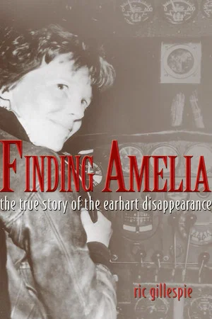 Постер: Finding Amelia