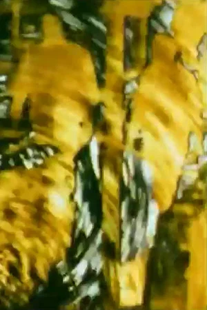 Постер: Turmoil