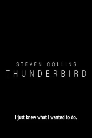 Постер: Thunderbird