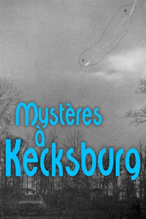 Постер: The New Roswell: Kecksburg Exposed