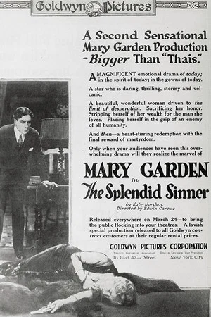 Постер: The Splendid Sinner