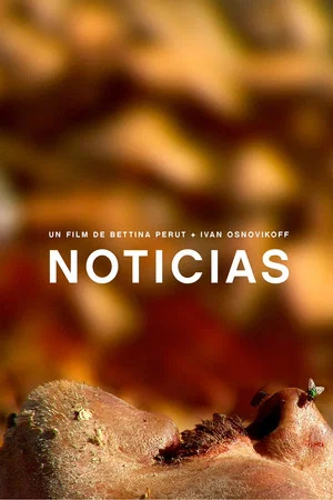 Постер: Noticias