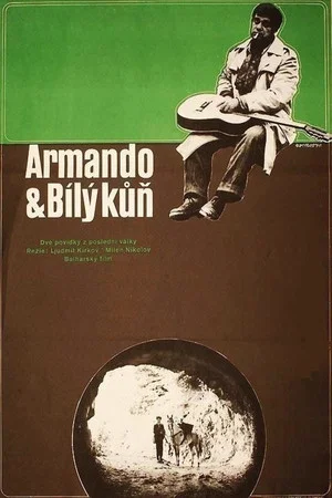 Постер: Armando