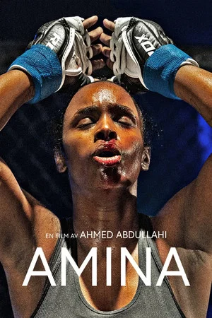 Постер: Amina