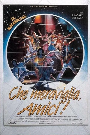 Постер: Che meraviglia, amici!