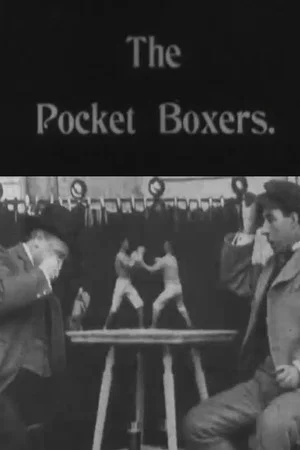 Постер: Pocket Boxers