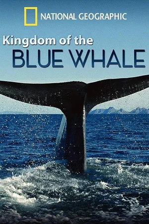 Постер: Kingdom of the Blue Whale