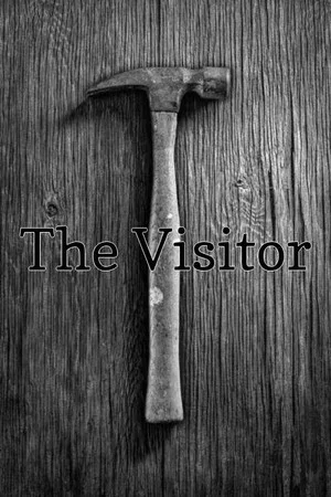 Постер: The Visitor