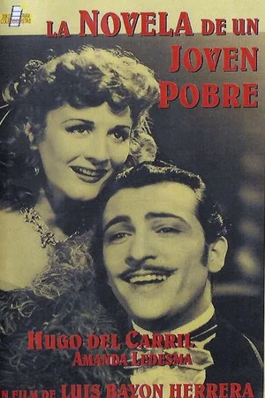 Постер: La novela de un joven pobre