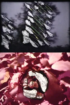 Постер: Reincarnation