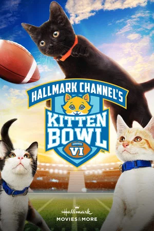 Постер: Kitten Bowl VI
