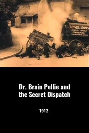 Постер: Dr. Brian Pellie and the Secret Dispatch