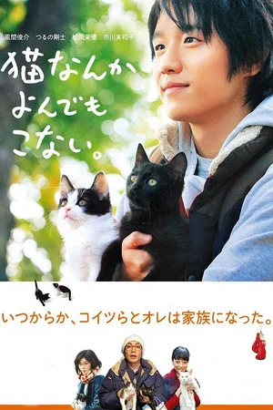 Постер: Cats Don't Come When You Call