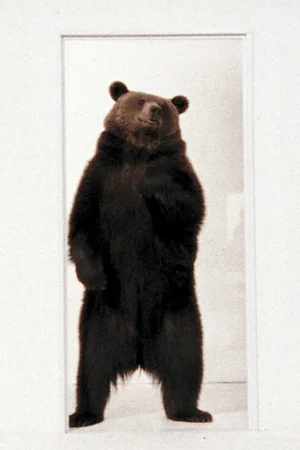 Постер: Bear