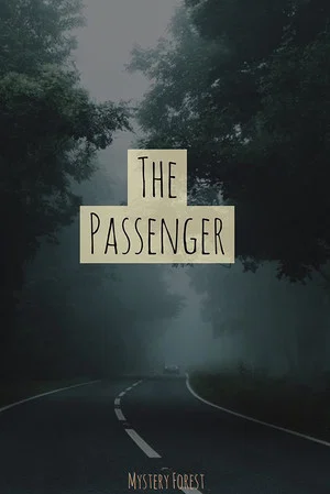 Постер: The Passenger