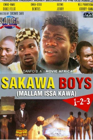 Постер: Sakawa Boys