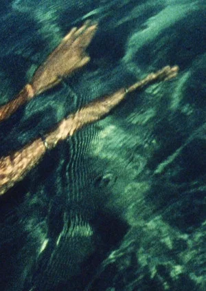 Постер: Swimmer