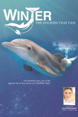 Постер: Winter, the Dolphin That Can