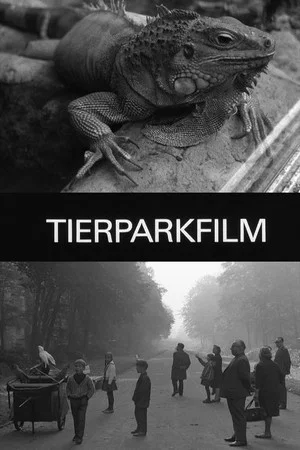 Постер: Zoo Film