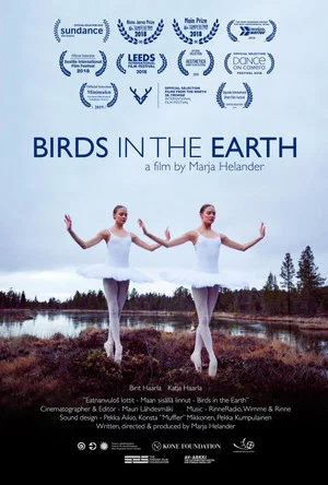 Постер: Birds in the Earth