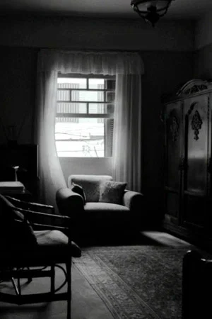 Постер: Those Years in December