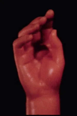 Постер: Cartoons: The Central Finger