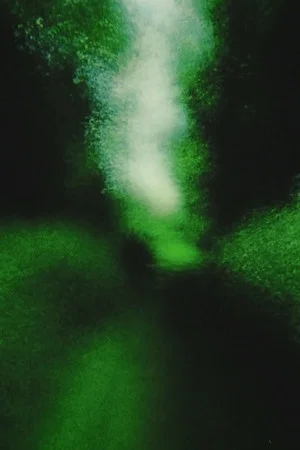 Постер: Brouillard #12