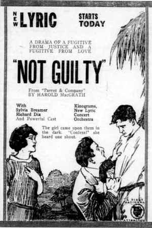 Постер: Not Guilty