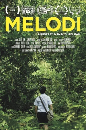 Постер: Melodi