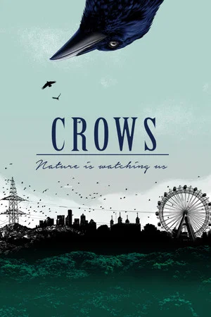 Постер: Crows - Nature Is Watching Us