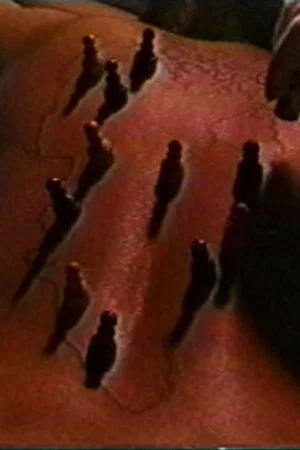 Постер: Unmapping Desire