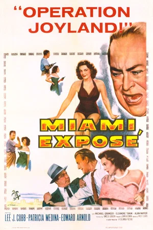Постер: Miami Exposé