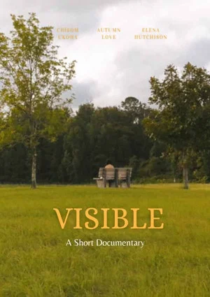 Постер: Visible