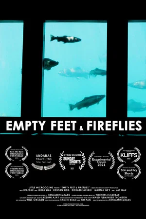 Постер: Empty Feet & Fireflies