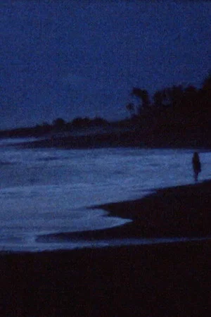 Постер: A conversation with the ocean