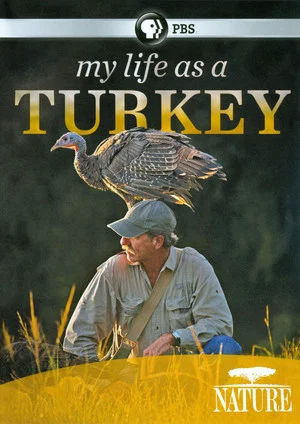 Постер: My Life as a Turkey