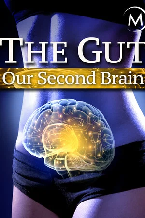 Постер: The Gut: Our Second Brain