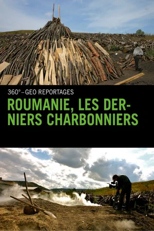 Постер: Roumanie, les derniers charbonniers