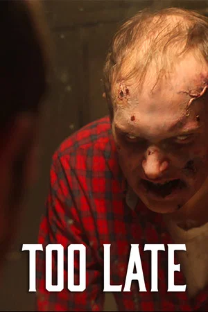 Постер: Too Late