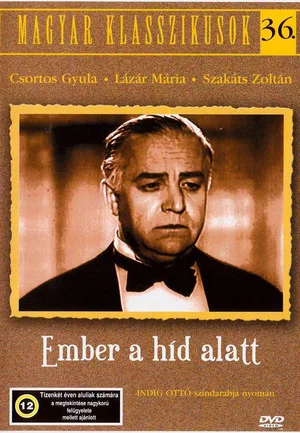Постер: The Man Under the Bridge
