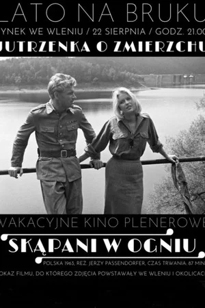 Постер: Крещённые огнём