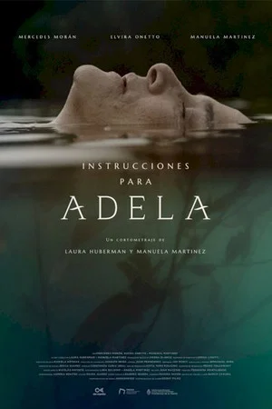 Постер: Instrucciones para Adela