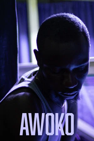 Постер: Awoko