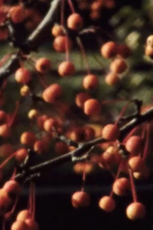 Постер: Five Year Diary, Reel 47: I Thought the Film Would End (October 21–November 2, 1986)