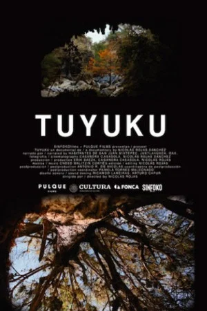 Постер: Montezuma Cypress