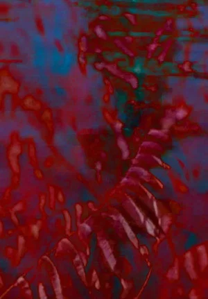 Постер: Qualcosa di Rosso, Qualcosa di Blu (High Tide / Low Tide)