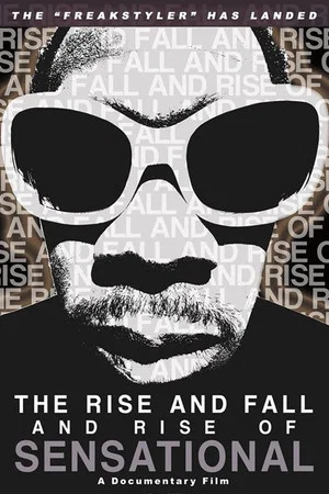 Постер: The Rise and Fall and Rise of Sensational