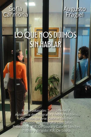 Постер: Lo que nos dijimos sin hablar