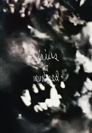 Постер: Sirius Remembered