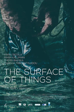 Постер: The Surface of Things